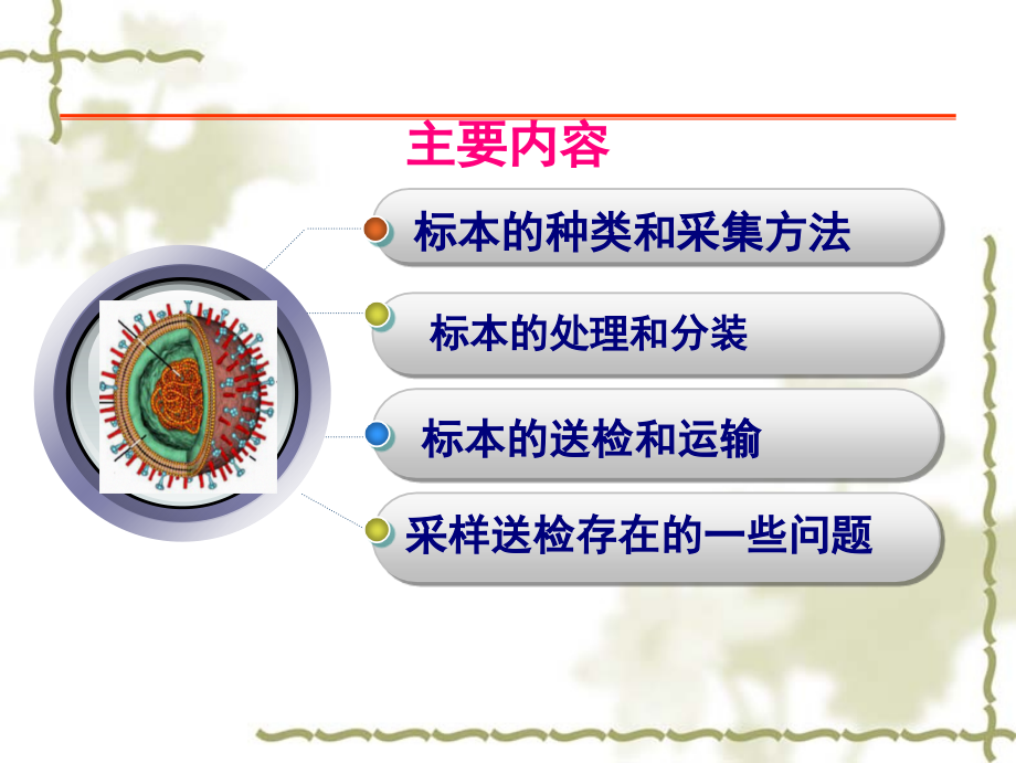 禽流感环境标本采集和运输.ppt_第2页