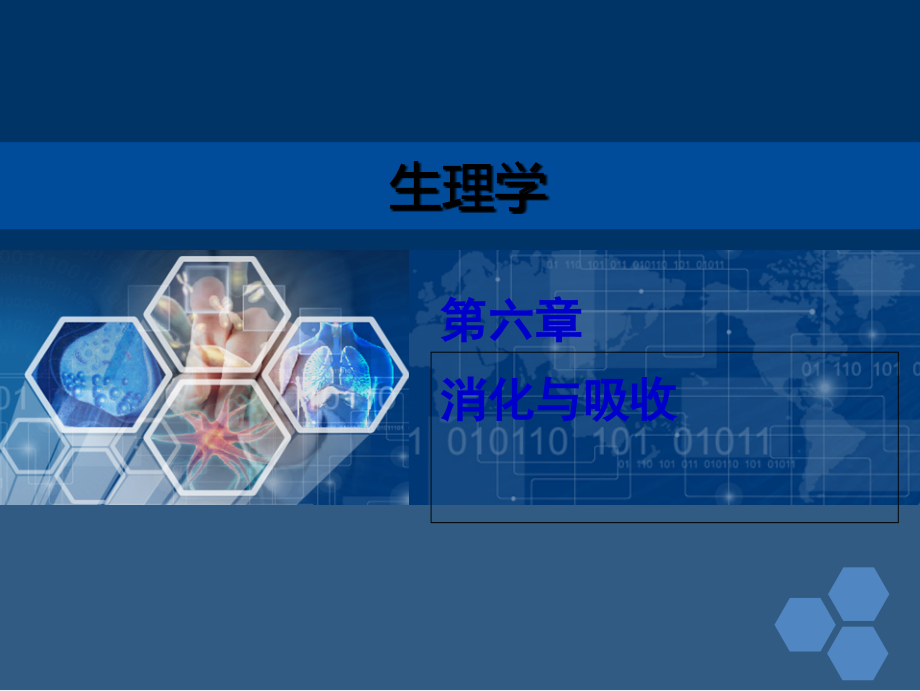 人卫版生理学第六章消化和吸收.ppt_第2页