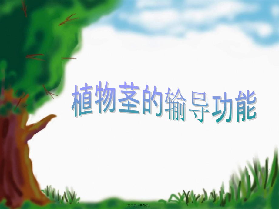 植物茎的输导功能苏教版.ppt_第2页