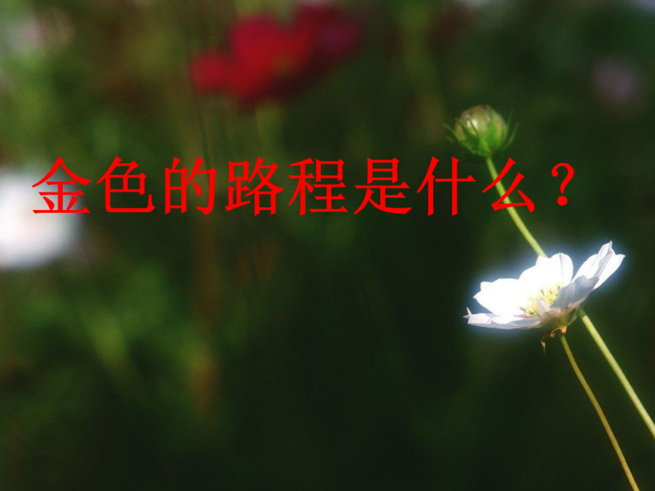 四年级下册音乐课件5-金色的路程西师大版.ppt_第2页