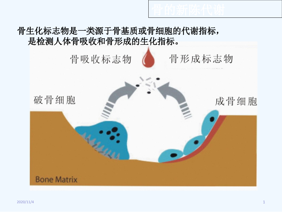 骨质疏松的血清学标志.ppt_第1页