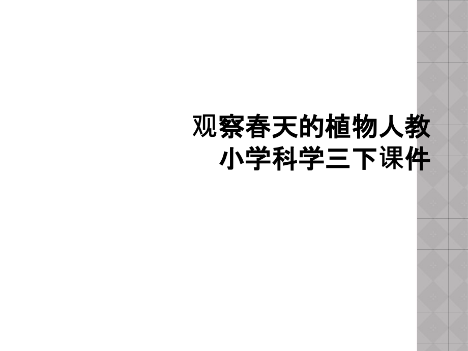 观察春天的植物人教小学科学三下.ppt_第1页