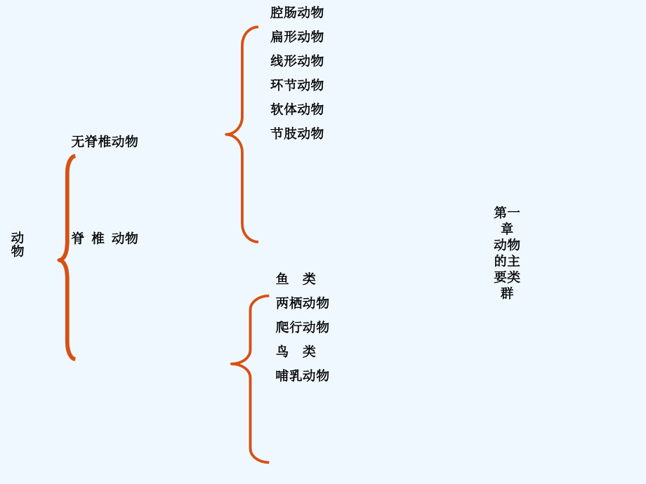 腔肠动物和扁形动物乐百士.ppt_第2页