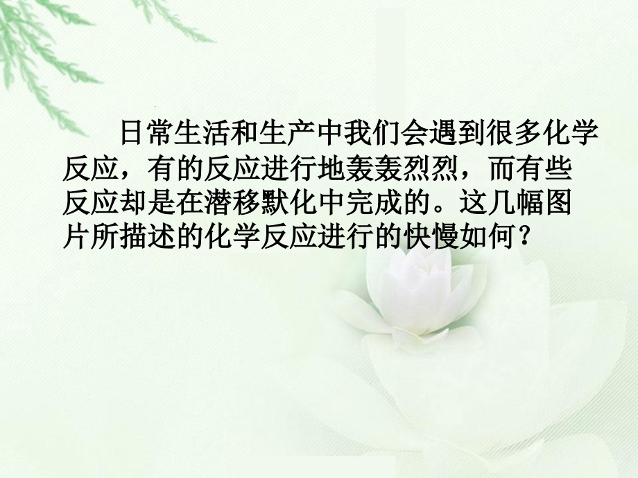 高中化学-影响化学反应速率的因素.ppt_第2页
