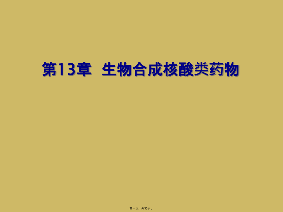 第13章--生物合成核酸类药物.ppt_第1页