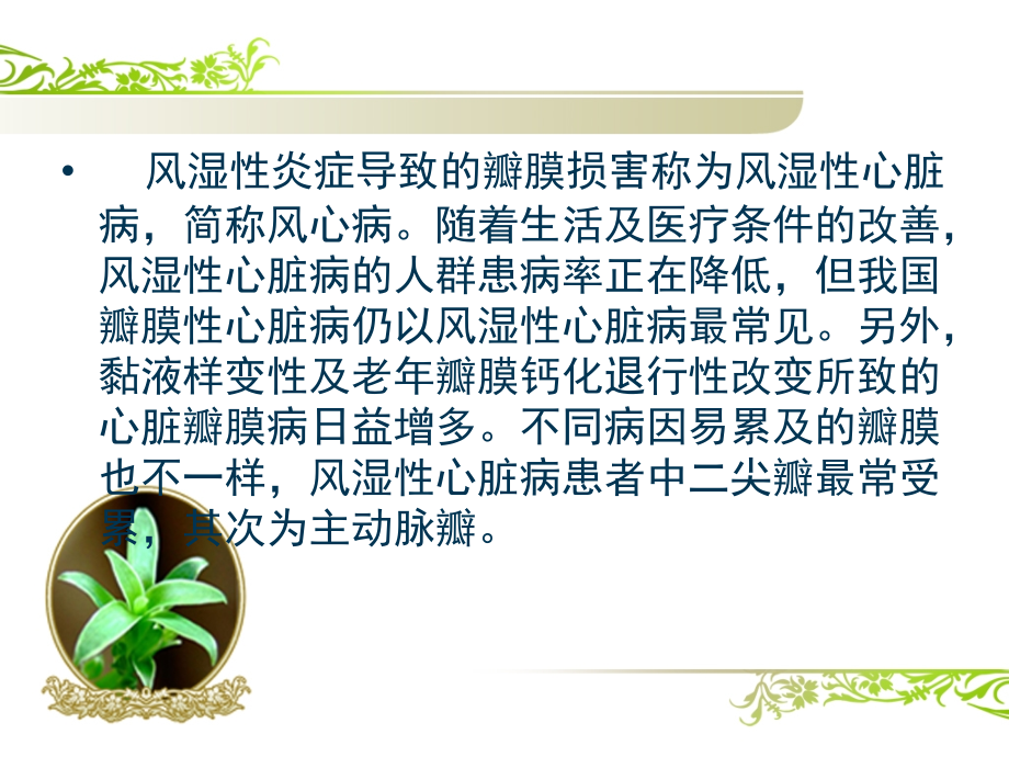 风湿性心脏瓣膜病.ppt_第2页