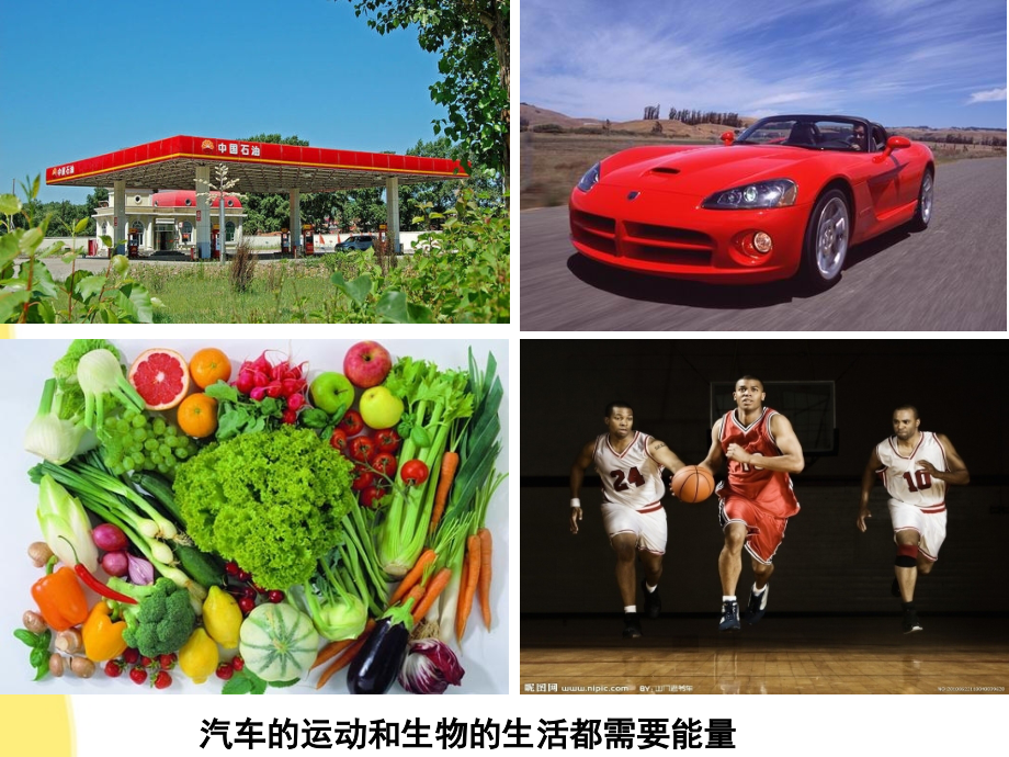课件-细胞中的糖类和脂质课件(公开课).ppt_第1页