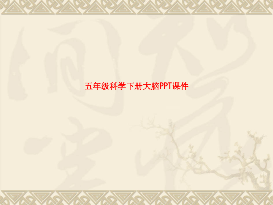 课件-五年级科学下册大脑PPT课件.ppt_第1页