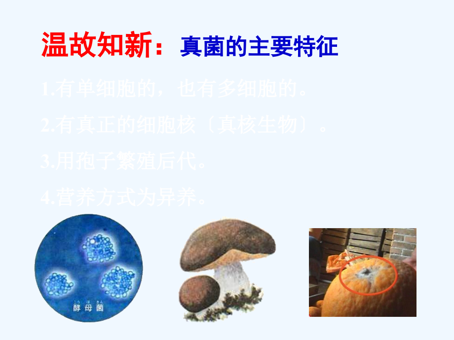 第四节细菌和真菌在自然界中的作用课件.ppt_第2页