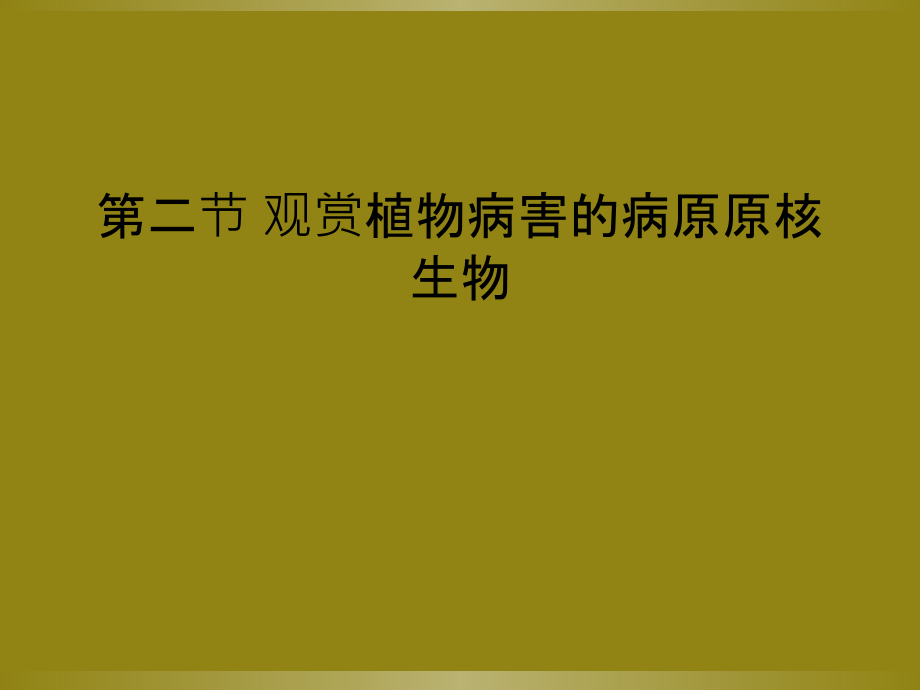 第二节-观赏植物病害的病原原核生物.ppt_第1页