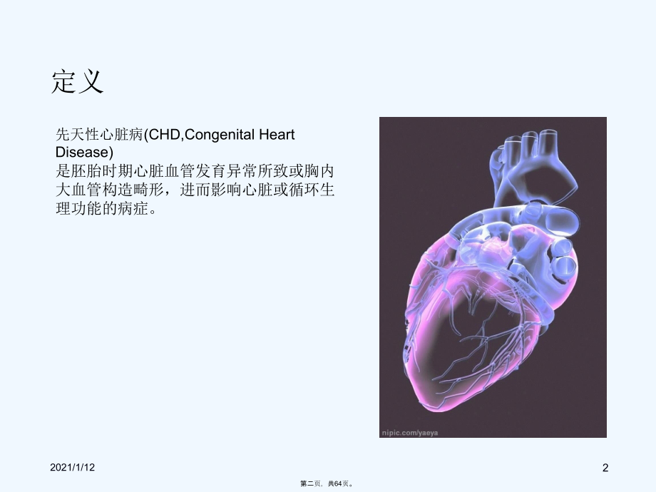 先天性心脏病的预防及治疗.ppt_第2页