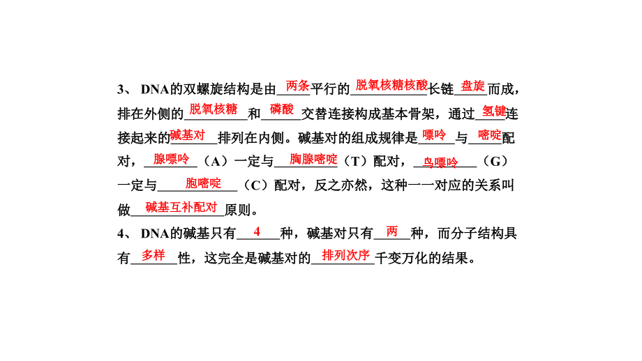 DNA分子的结构——碱基的计算.ppt_第1页