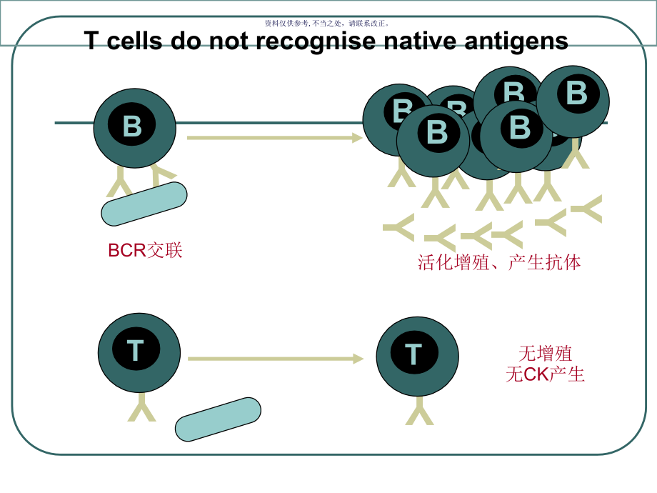 抗原的加工和递呈.ppt_第1页