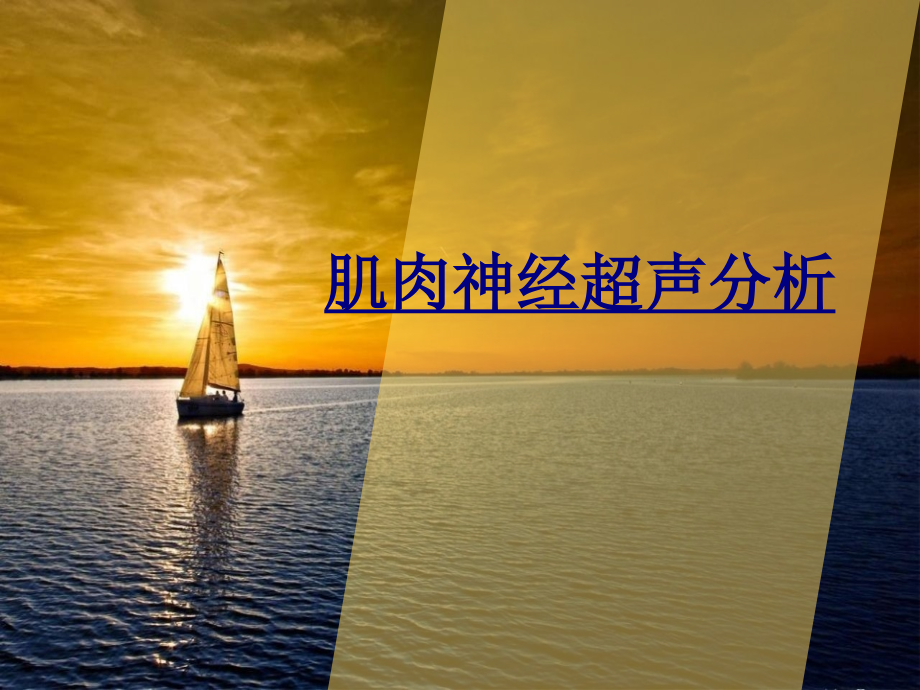 肌肉神经超声分析.ppt_第1页