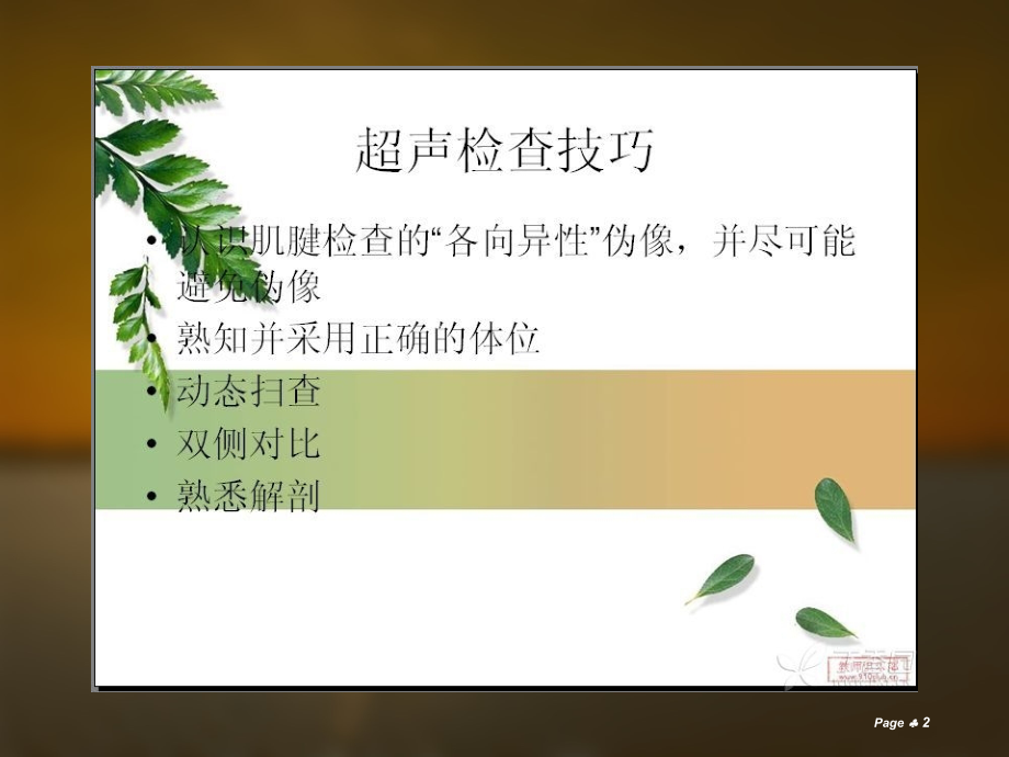 肌肉神经超声分析.ppt_第2页