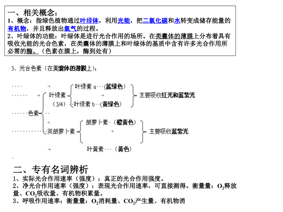 课件-高中生物光合作用.ppt_第2页