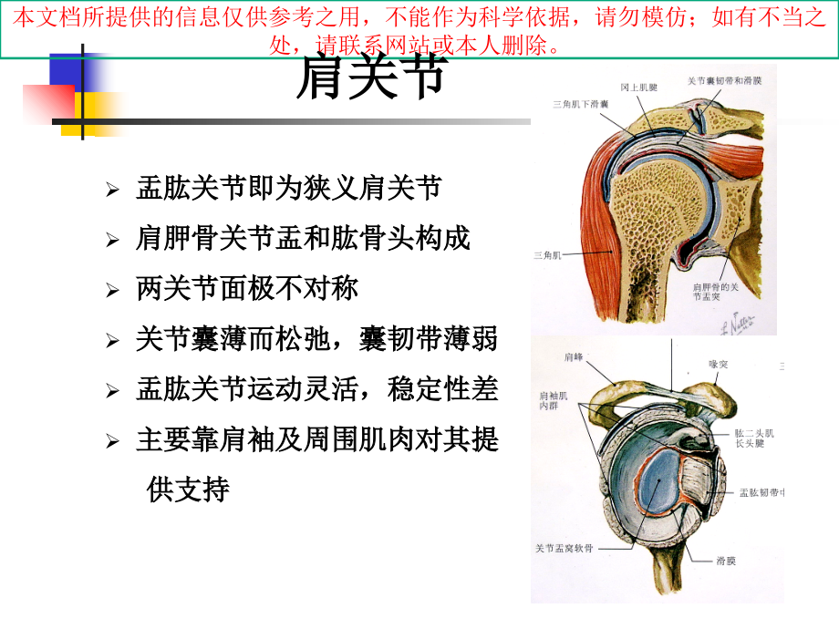 肩关节的磁共振扫描方法和临床应用培训.ppt_第2页