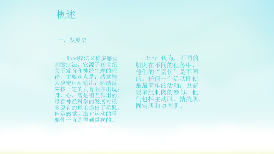 rood技术.ppt_第2页