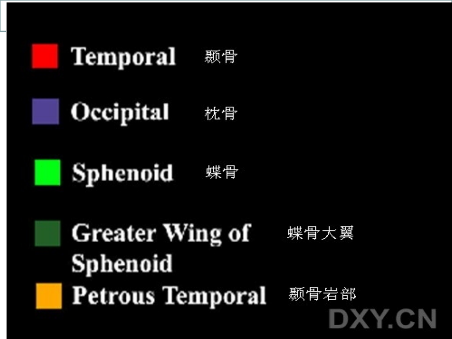 颅底影像详细解剖培训.ppt_第1页