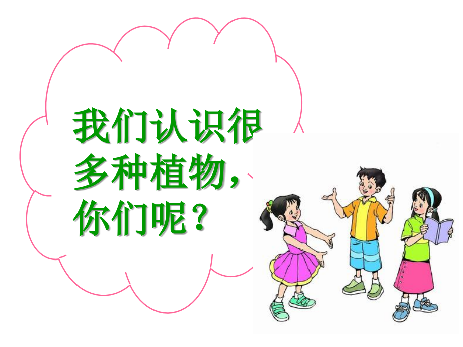 三年级上册综合实践走进植物王国.ppt_第2页