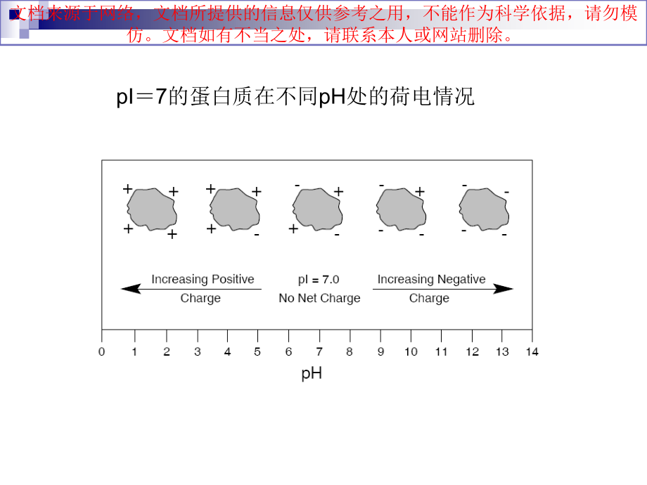 毛细管等电聚焦专业知识讲座.ppt_第2页