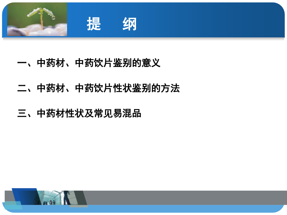 医学中药材的性状和真伪鉴别培训专题.ppt_第2页