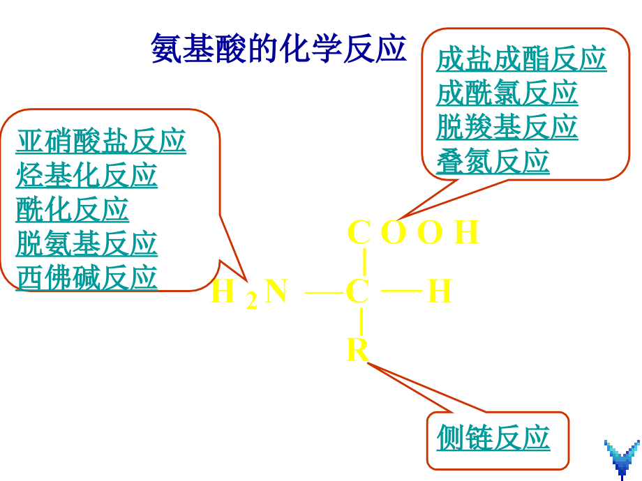 氨基酸的重要反应.ppt_第2页