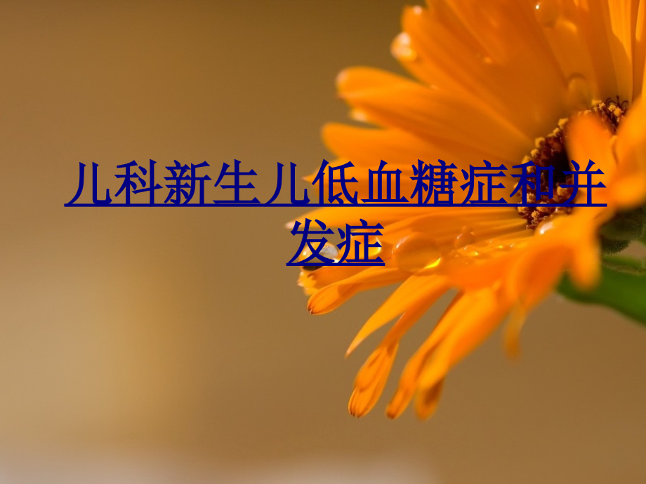 儿科新生儿低血糖症和并发症优质.ppt_第1页