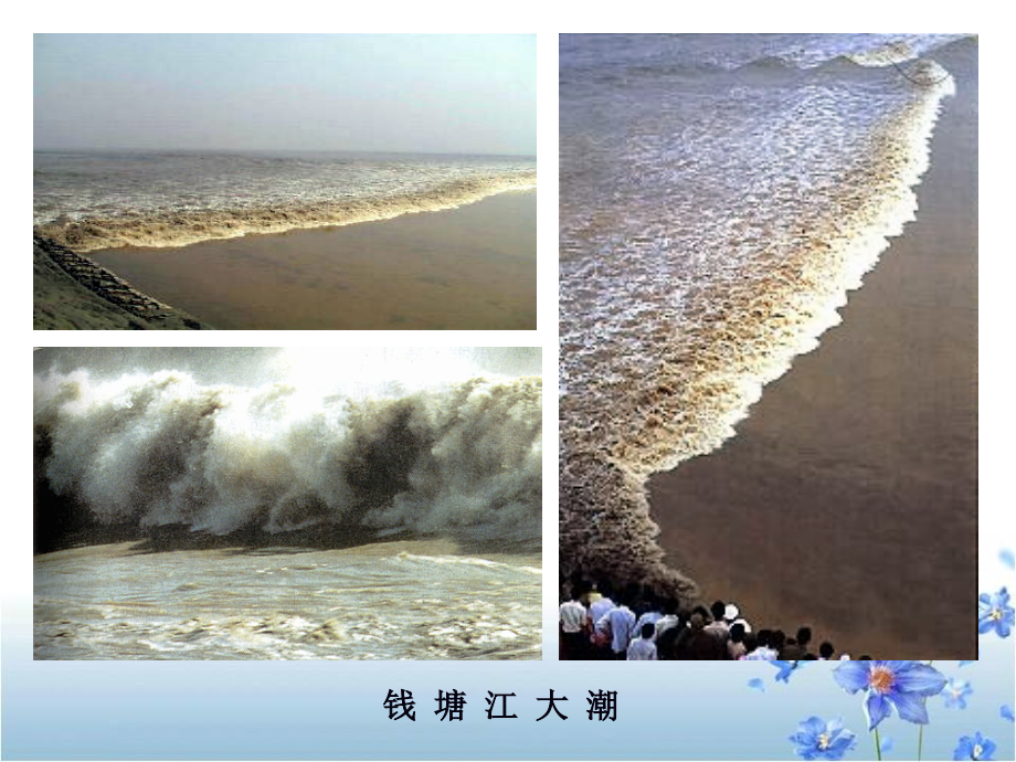 《观潮》主题讲座.ppt_第1页