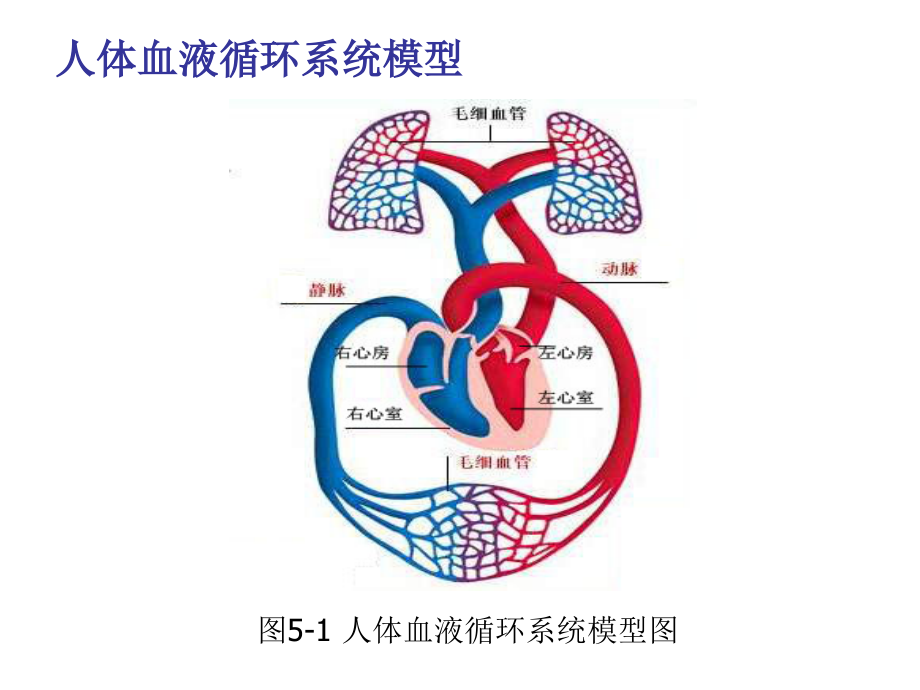血压测量专题知识讲座.ppt_第1页