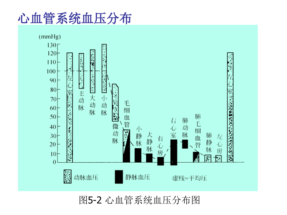 血压测量专题知识讲座.ppt_第2页