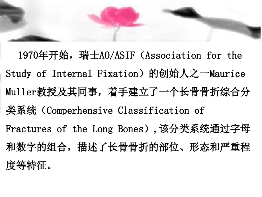 医学骨折AO分型.ppt_第2页