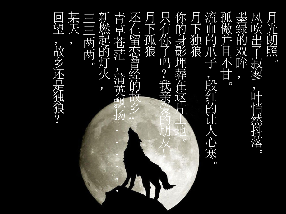 医学读书心得体会狼王梦.pptx_第2页