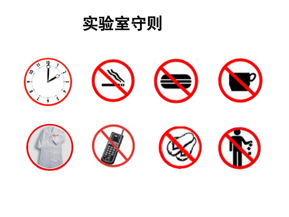 介绍和家兔基本操作.ppt_第2页