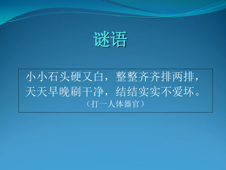 幼儿园爱牙护牙.ppt_第2页