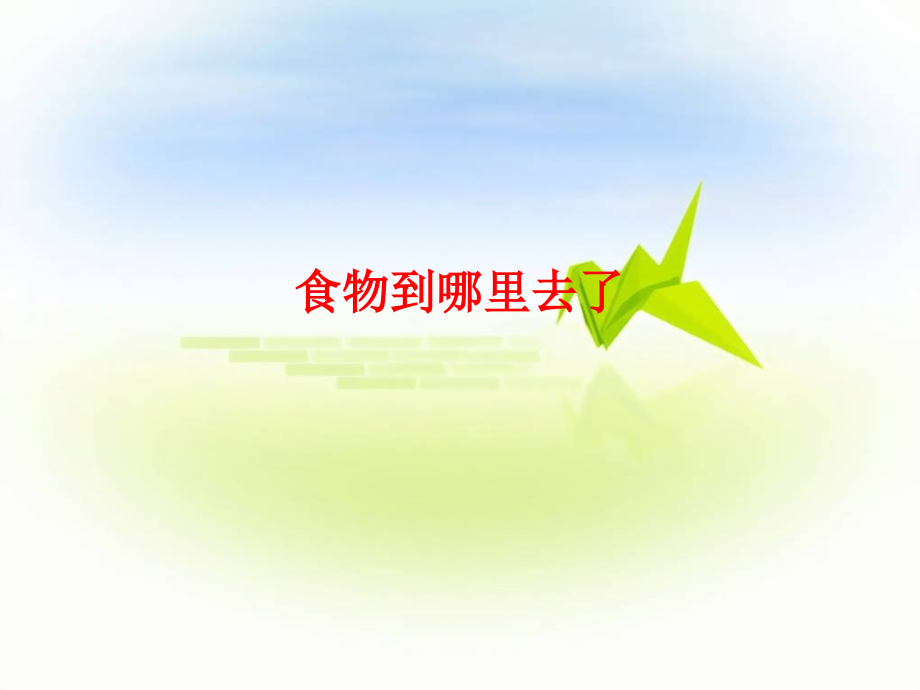 食物到哪里去了教案.ppt_第1页