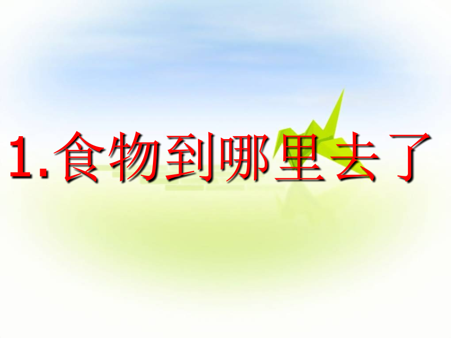 食物到哪里去了教案.ppt_第2页
