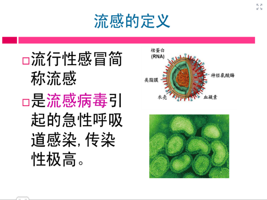 医学流感防控.ppt_第2页