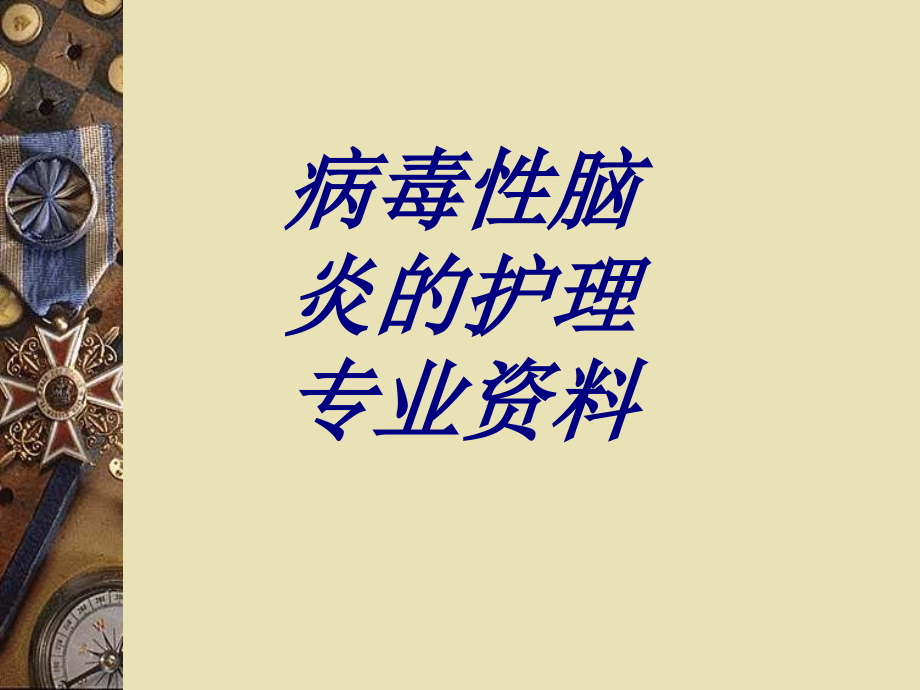 病毒性脑炎的护理专业资料优质.ppt_第1页