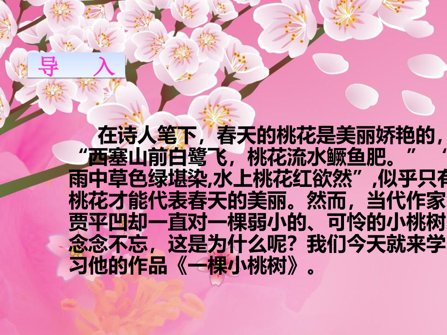 《一棵小桃树》贾平凹.ppt_第1页