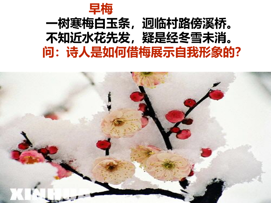 诗歌鉴赏之托物言志(公开课).ppt_第2页