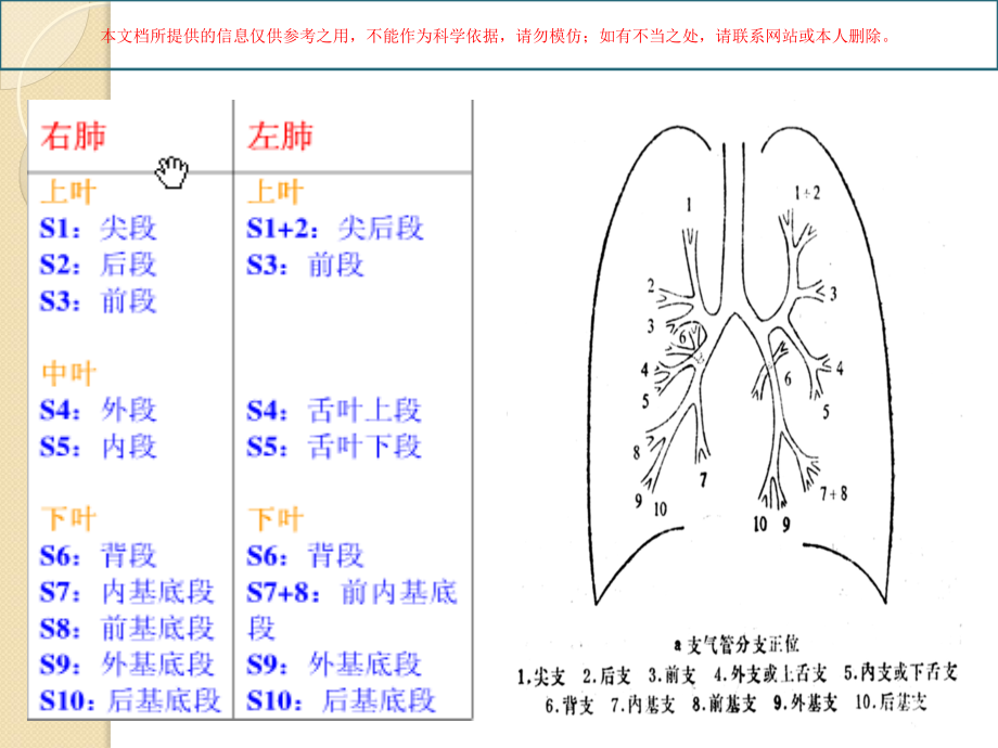 如何在CT上区分肺叶和肺段培训.ppt_第2页