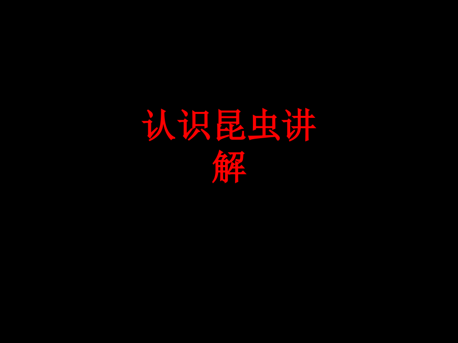 认识昆虫讲解.ppt_第1页