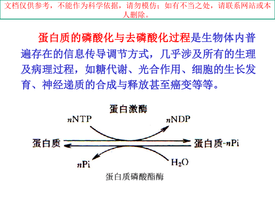 分子生物学课件第八章.ppt_第2页