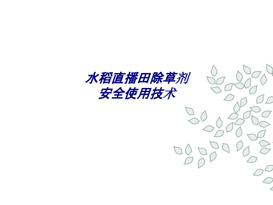 水稻直播田除草剂安全使用技术.ppt_第1页