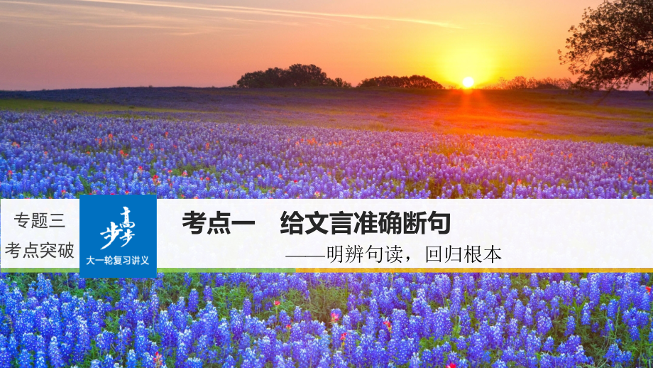 2019届全国高考语文大一轮复习古诗文阅读第一章文言文阅读专题三考点突破一给文言准确断句讲义.ppt_第1页
