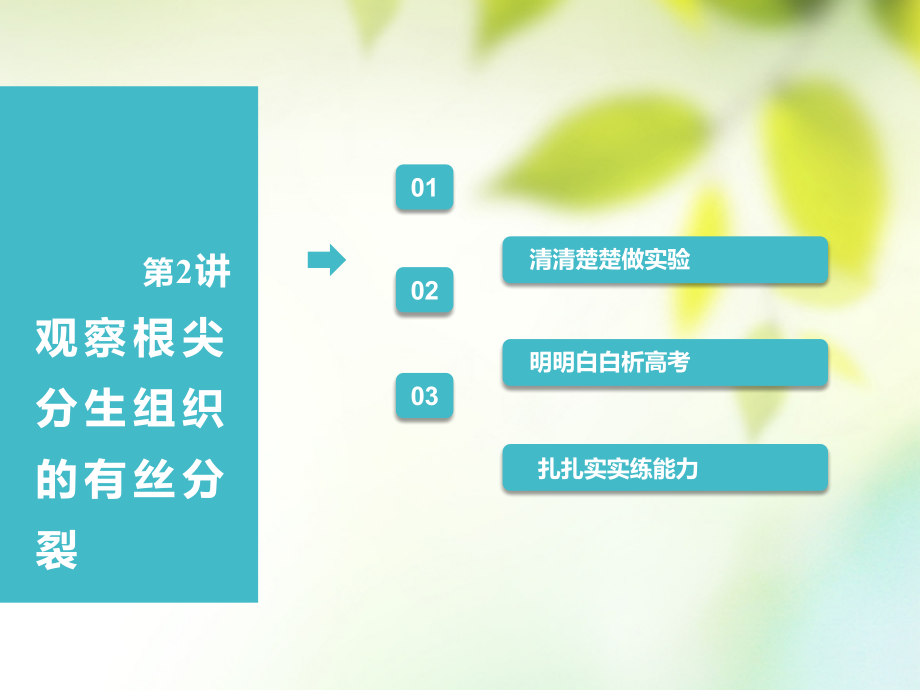 2019届全国通用版高考生物一轮复习第1部分分子与细胞第四单元细胞的生命历程第2讲观察根尖分生组织的有丝分.ppt_第1页