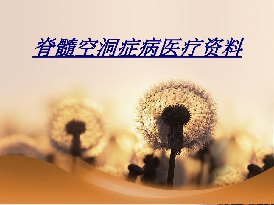 医学脊髓空洞症病医疗资料.ppt_第1页