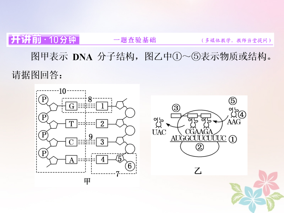 2019-2020年全国通用高考生物二轮复习专题三遗传串讲一遗传的分子基础第二课时高考研究讲义.ppt_第2页
