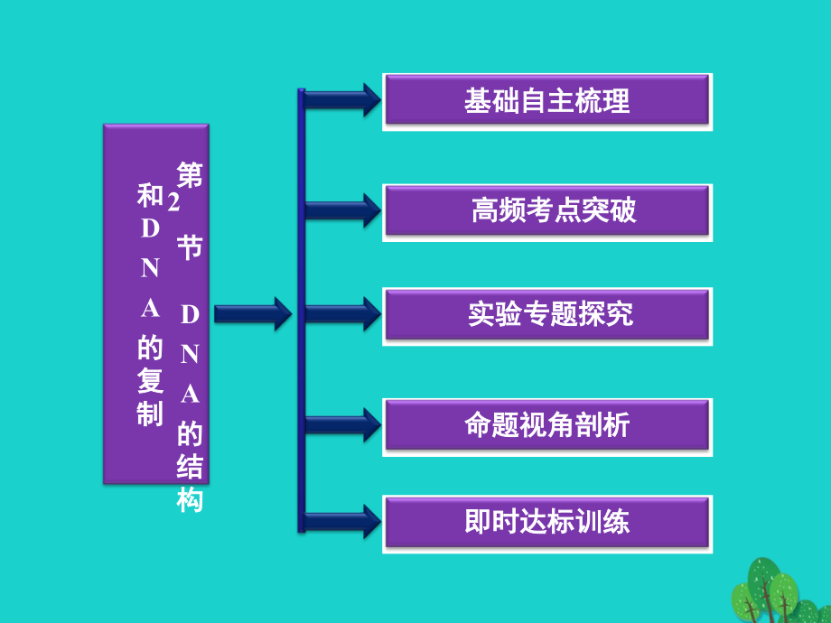 2019届江苏专用高考生物总复习第4章遗传的分子基础第2节DNA的结构和DNA的复制讲义苏教版必修.ppt_第2页